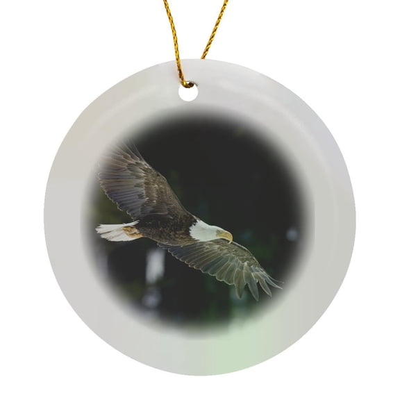 3drose, Bald Eagle, Winter Flight, Circle Porcelain Ornament