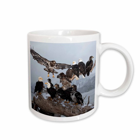 3drose, Bald Eagles Gathering on a Log, Homer, Alaska - Na02 Dno0199 - David Northcott, 15oz Mug