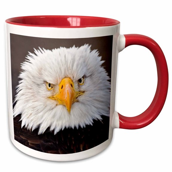 3drose, Bald Eagles, Homer, Alaska - Us02 Aje0019 - Adam Jones, 11oz Two-tone Red Mug