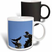 3drose, Bald Eagles Majestically Perches on Treetops, 11oz Magic Transforming Mug
