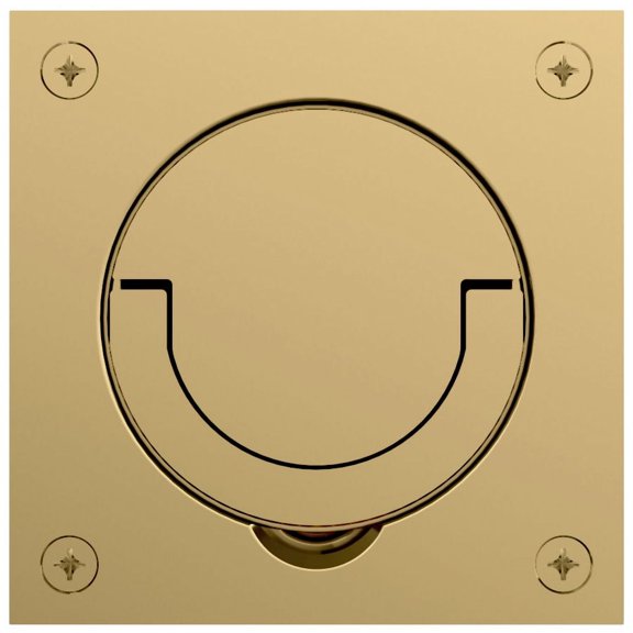 Baldwin 0397003 Flush Ring Pull - Polished Brass
