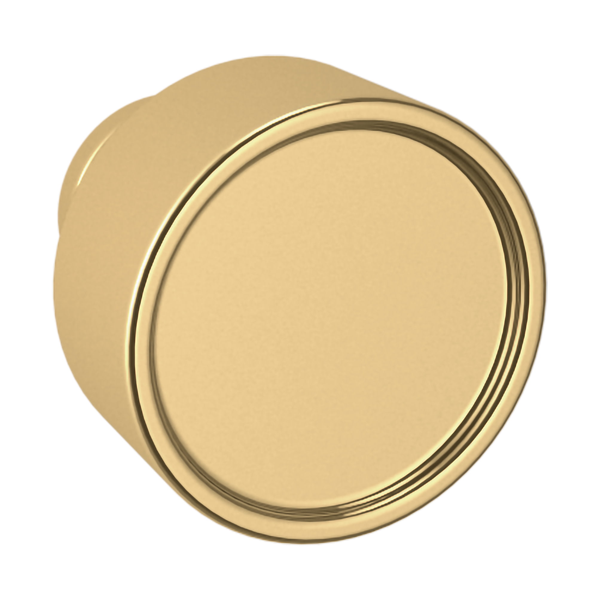 Polished Brass Round Cabinet Knob with Mounting Hardware