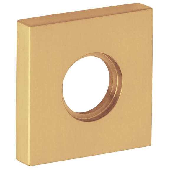 Baldwin 5160 Pair Of Estate Rosettes For Privacy Functions - Brass