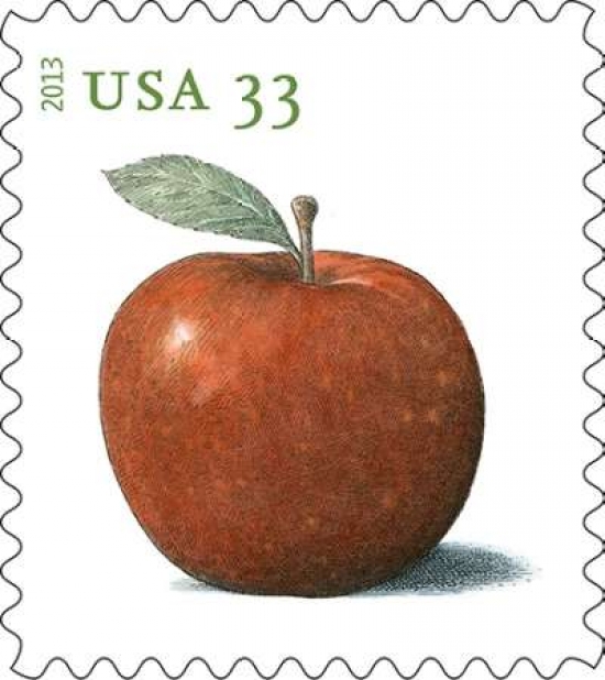Baldwin Apple Canvas Art - US POSTAL SERVICE (24 x 24)
