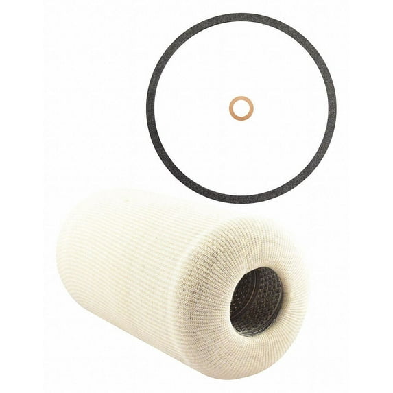 Baldwin Filters Fuel Filter,10 x 5-1/2 x 10 In F908-A