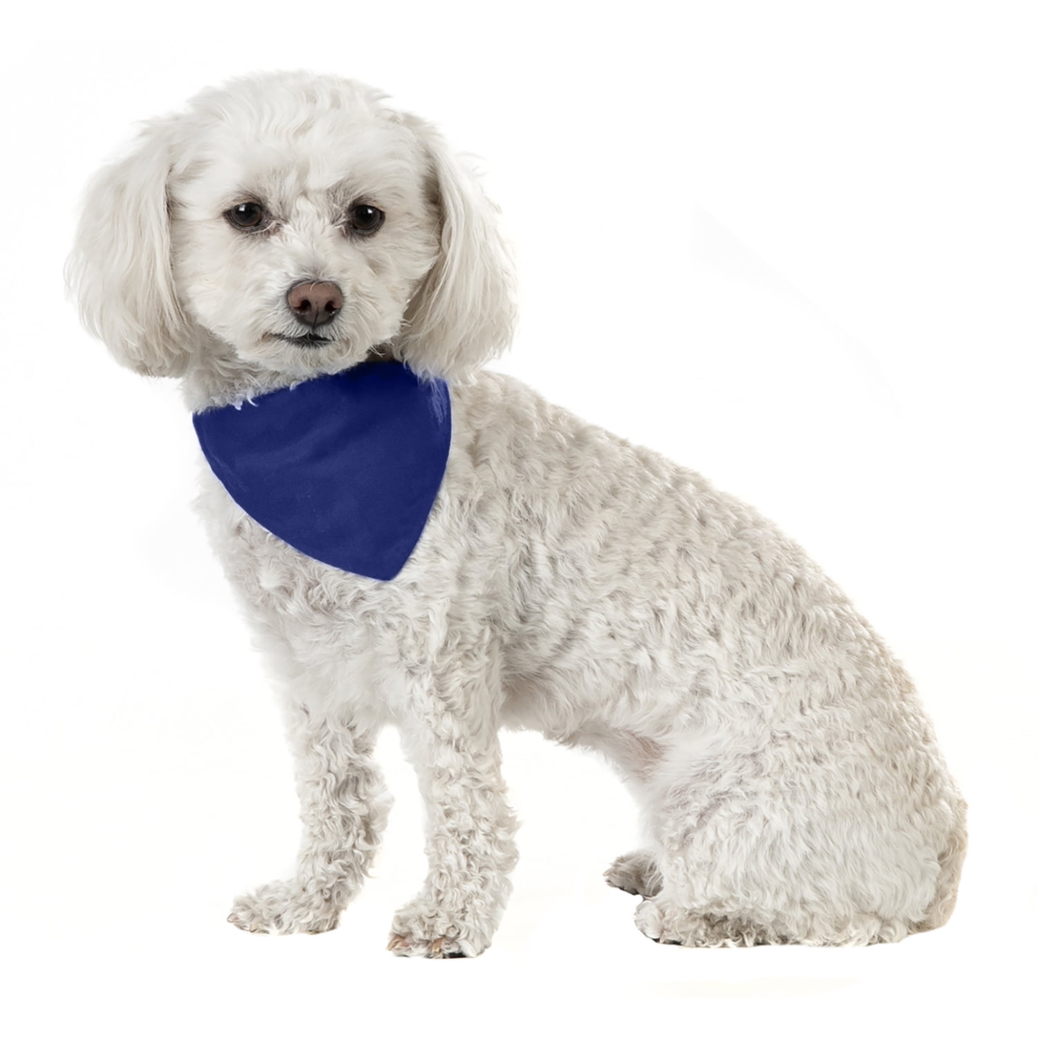 Balec 10 Pack Solid Cotton Dog Bandana Triangle Bibs  - Small & Medium Pets (Blue)