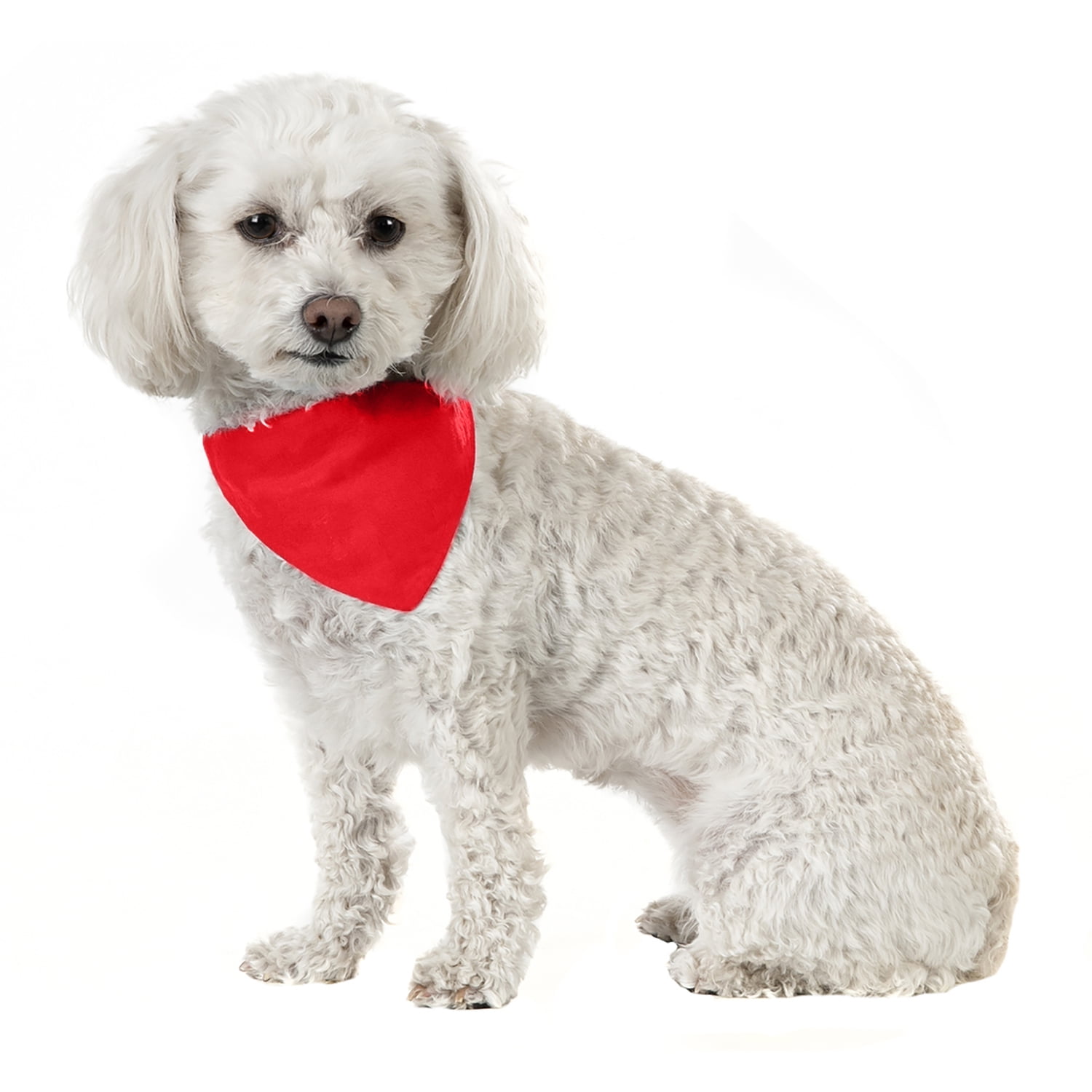 Balec 10 Pack Solid Cotton Dog Bandana Triangle Bibs  - Small & Medium Pets (Red)