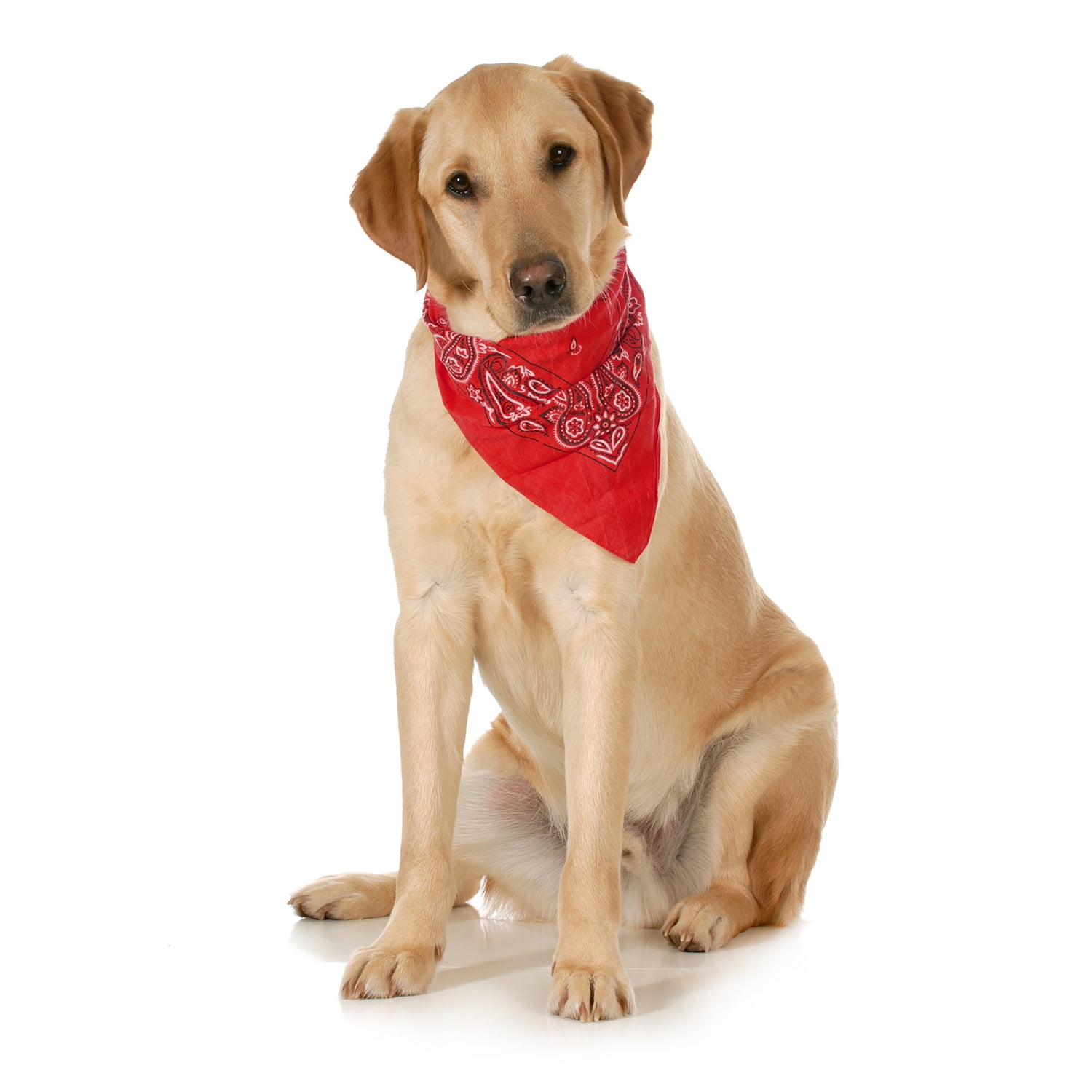 Balec 5-Pack Paisley Cotton Dog Scarf Triangle Bibs  - XL & Washable (Red)