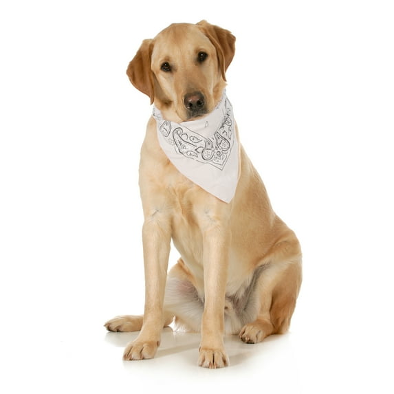 Balec 5-Pack Paisley Cotton Dog Scarf Triangle Bibs - XL & Washable (White)
