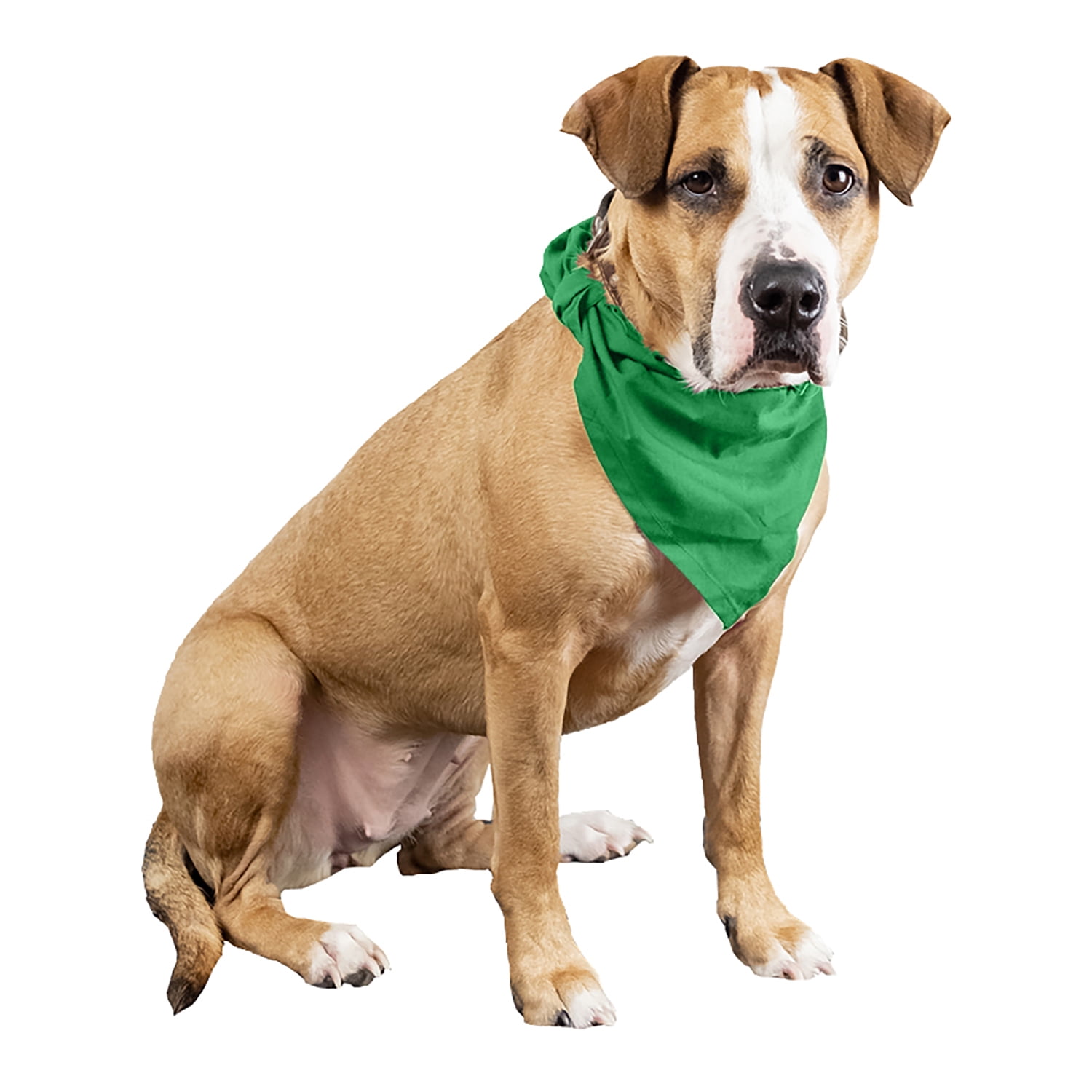 Balec 6 Pcs Plain Cotton Pets Dogs Bandana Triangle Shape  - Large Pets (Green)