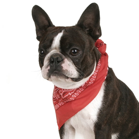 Balec Dog Bandana Paisley Durable Cotton Fabric Pet Triangle Kerchief (Red)