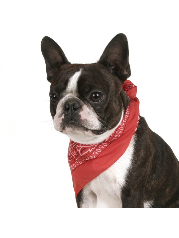 Dog Bandana Paisley Durable Cotton Fabric Pet Triangle Kerchief (Red)