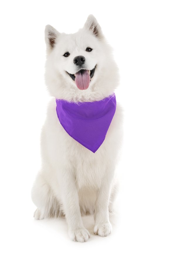 Dog Solid Bandanas - 4 Pieces - Scarf Triangle Bibs for Any Small, Medium or