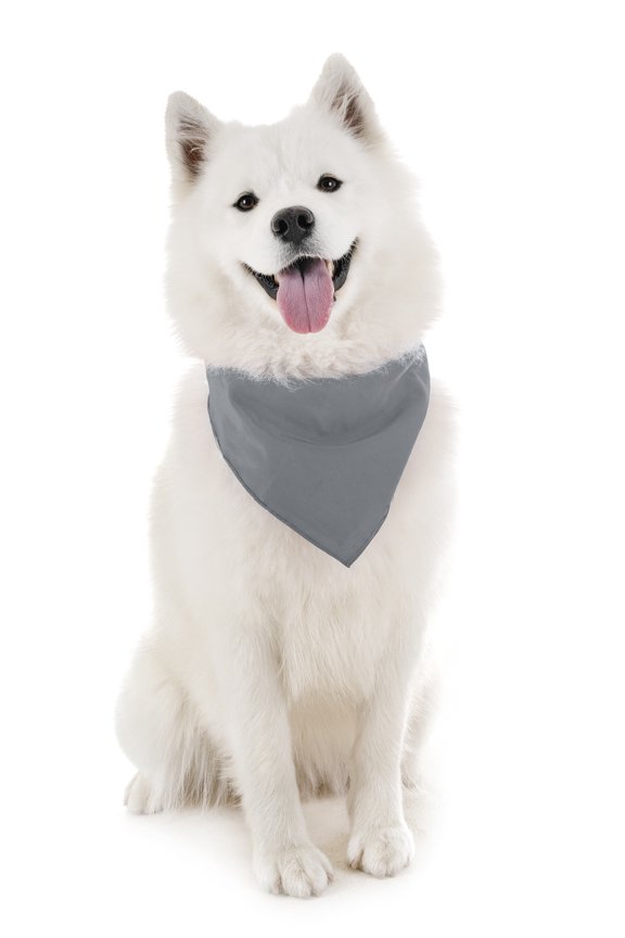 Dog Solid Cotton Bandanas - 5 Pieces - Scarf Triangle Bibs for Any Small,