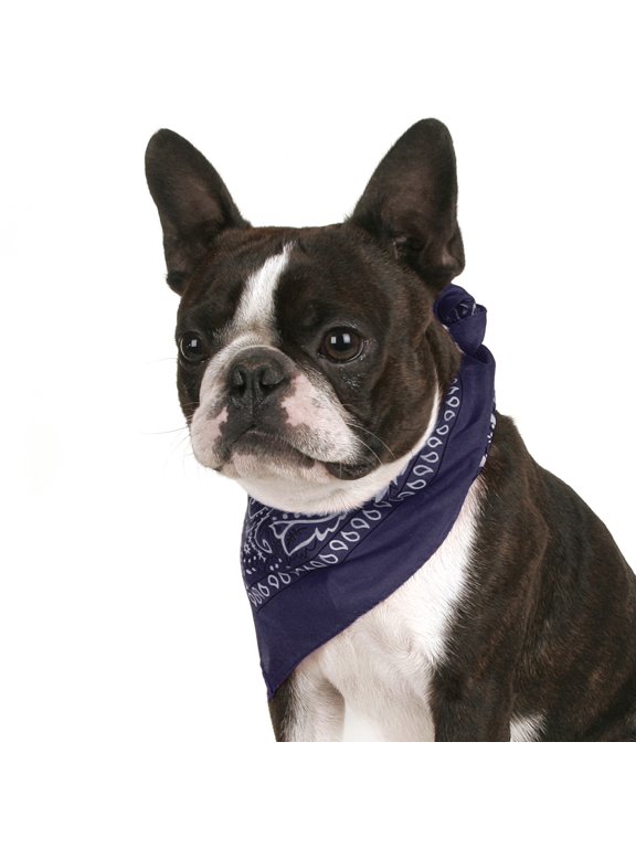 Pack of 2 Paisley Cotton Dog Bandana Triangle Shape - One Size Fits Most