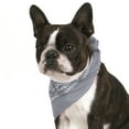 thumbnail image 1 of Balec Pack of 2 Paisley Cotton Dog Bandana Triangle Shape  - One Size Fits Most, 1 of 2