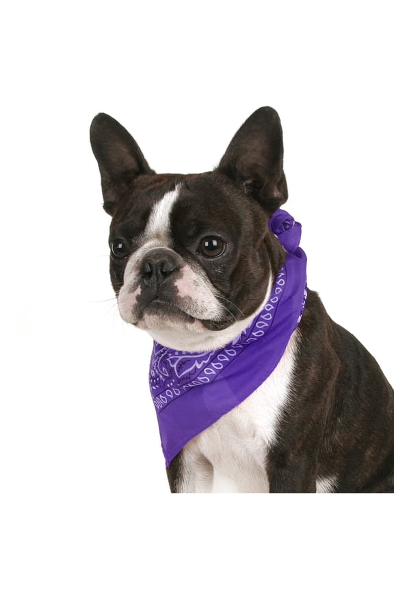 Pack of 2 Paisley Cotton Dog Bandana Triangle Shape - One Size Fits Most