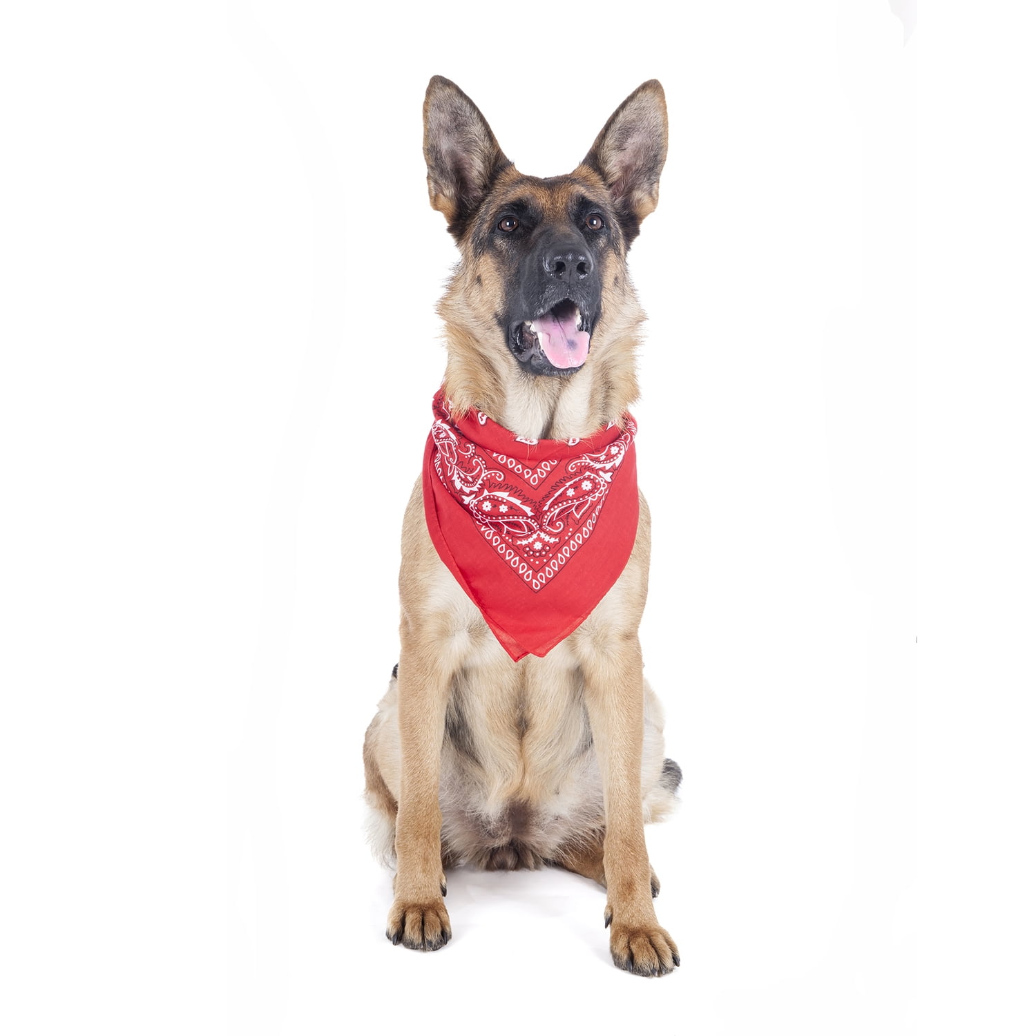 Balec Paisley Polyester Pets 6 Pack Dogs Bandana Triangle Shape  - Oversized (Red)