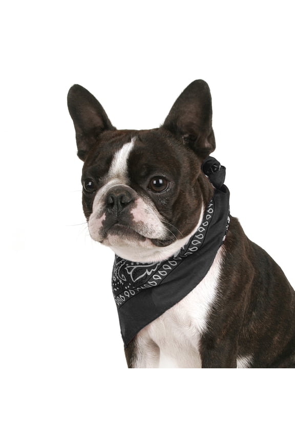 Set of 6 Paisley Cotton Bandanas for Dogs Fits Small, Medium & Large (Black)