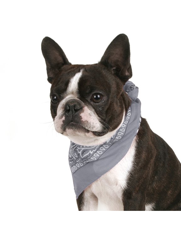 Set of 6 Paisley Cotton Bandanas for Dogs Fits Small, Medium & Large (Grey)