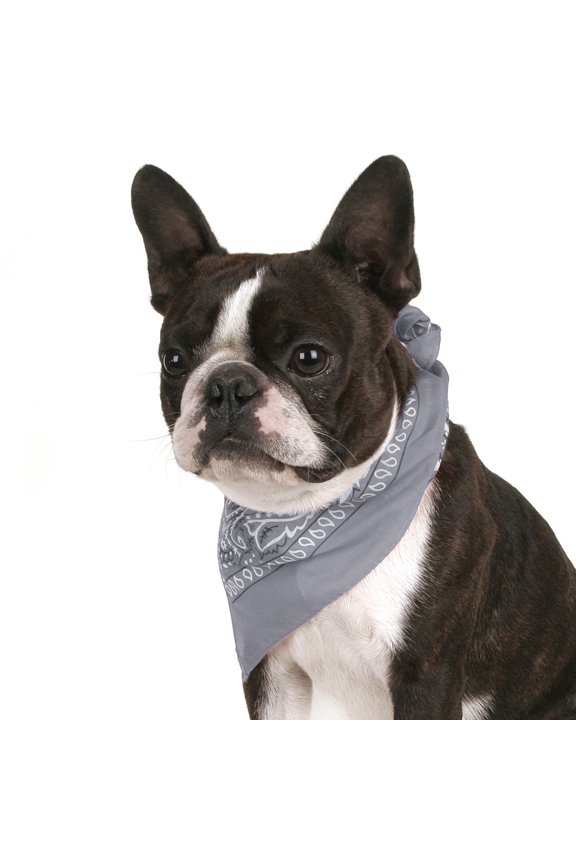 Set of 6 Paisley Cotton Bandanas for Dogs Fits Small, Medium & Large (Grey)