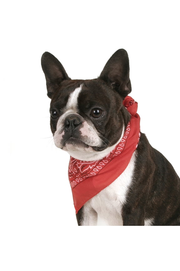 Set of 6 Paisley Cotton Bandanas for Dogs Fits Small, Medium & Large (Red)