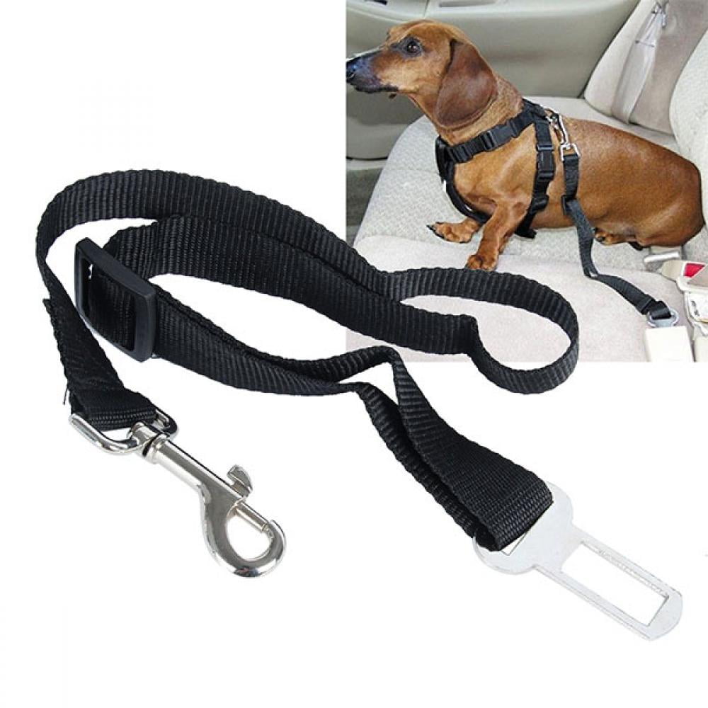 Balems Durable Dog Seatbelt for Carseat, Dog Seat Belt for Vehicle, Tether  Attachment to Pet Harness, 31.5inch Adjustable Length, Crash Tested Nylon -  Walmart Business Supplies