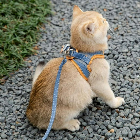 Balems No Pull Dog Harness with Leash Set, Adjustable Soft Pet Vest,No Choke Front Lead Dog Reflective Harness, with Easy Control Handle And Belt for Small to Medium Dogs and Cat