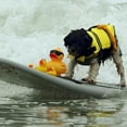 thumbnail image 1 of Balems Reflective Pet Dog Life Jacket,Swimsuit With D Ring For Leash, 1 of 7