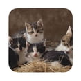thumbnail image 1 of Balery 4 Pcs Cat Familyleather Coasters Set, Drink Table Cup Coasters For Living Room Kitchen Coffee Decor, 1 of 9
