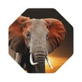 thumbnail image 1 of Balery 6 Pcs Elephant Sunset In Kenyaleather Coasters Set, Drink Table Cup Coasters For Living Room Kitchen Coffee Decor, 1 of 9