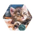 thumbnail image 1 of Balery 6 Pcs Playful Catleather Coasters Set, Drink Table Cup Coasters For Living Room Kitchen Coffee Decor, 1 of 9