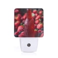 thumbnail image 1 of Balery Berry Infused Refreshment Pattern LED Night Light with Automatic Sensor Plug in Night Light with Dusk-to-Dawn Light Sensor LED Nightlight 0.5W-EU, 1 of 7
