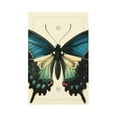 thumbnail image 1 of Balery Blue Black Butterfly Art for Duplex Wall Plates Kit, Electrical Outlet Covers, Standard Size 1-Gang 5.0" x3.0", Electric Receptacle Plug Covers-Style V, 1 of 6