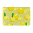 thumbnail image 1 of Balery Bright Lemons Doormat, Durable Flannel Fabric, Waterproof Stain and Fade Resistant, Low Profile,Indoor Outdoor Door Mats, Easy Clean Patio Entrance Mat, 16x24in, 1 of 9