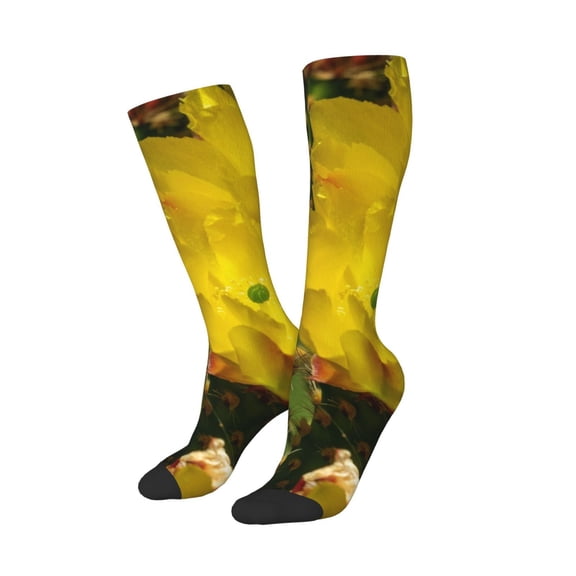 Balery Cactus Flowers Printed Novelty Socks Men's Women's Crew Socks Sports Socks Knee High Socks Cotton Socks Quirky and Cool Socks