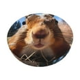thumbnail image 1 of Balery Close-Up Curious Squirrel Round Bar Stool Seat Covers Velvet Fabric Adjustable Protects from Scratches and Stains for 14-17 Inch Chair-14 inch, 1 of 7