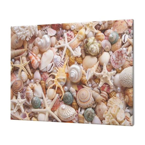 Balery Colorful Seashells Pattern Canvas Decorative Picture – 30x40in Premium Wall Art, Modern Canvas Print for Home Decor（Horizontal）