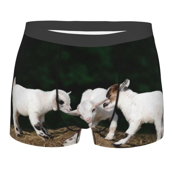 Balery Cute Goat Baby Men's Boxer Briefs, Soft and Breathable Cotton Underwear with nylon Waistband-Small