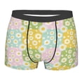thumbnail image 1 of Balery Daisies Flowers Men's Boxer Briefs, Soft and Breathable Cotton Underwear with nylon Waistband-Small, 1 of 9