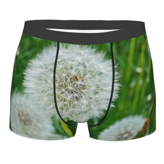 Balery Dandelion Flower In The Meadow Men's Boxer Briefs, Soft and Breathable Cotton Underwear with nylon Waistband-Medium