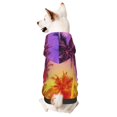 thumbnail image 1 of Balery Design Name Dog Hoodie Pets Wear Hoodies For Small Dogs Pet Clothes Costumes, Pets Wear Hoodie Sweatshirt Outfit For Dogs Cats Cosplay Party-Size Name, 1 of 8