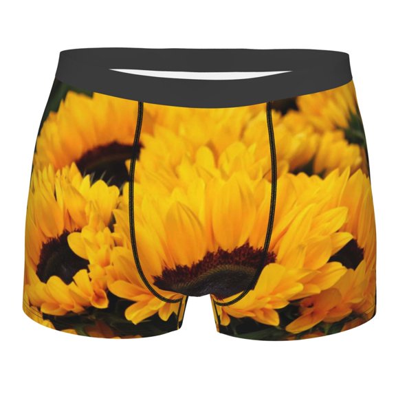 Balery Flower Bush Sunflower Men's Boxer Briefs, Soft and Breathable Cotton Underwear with nylon Waistband-Large