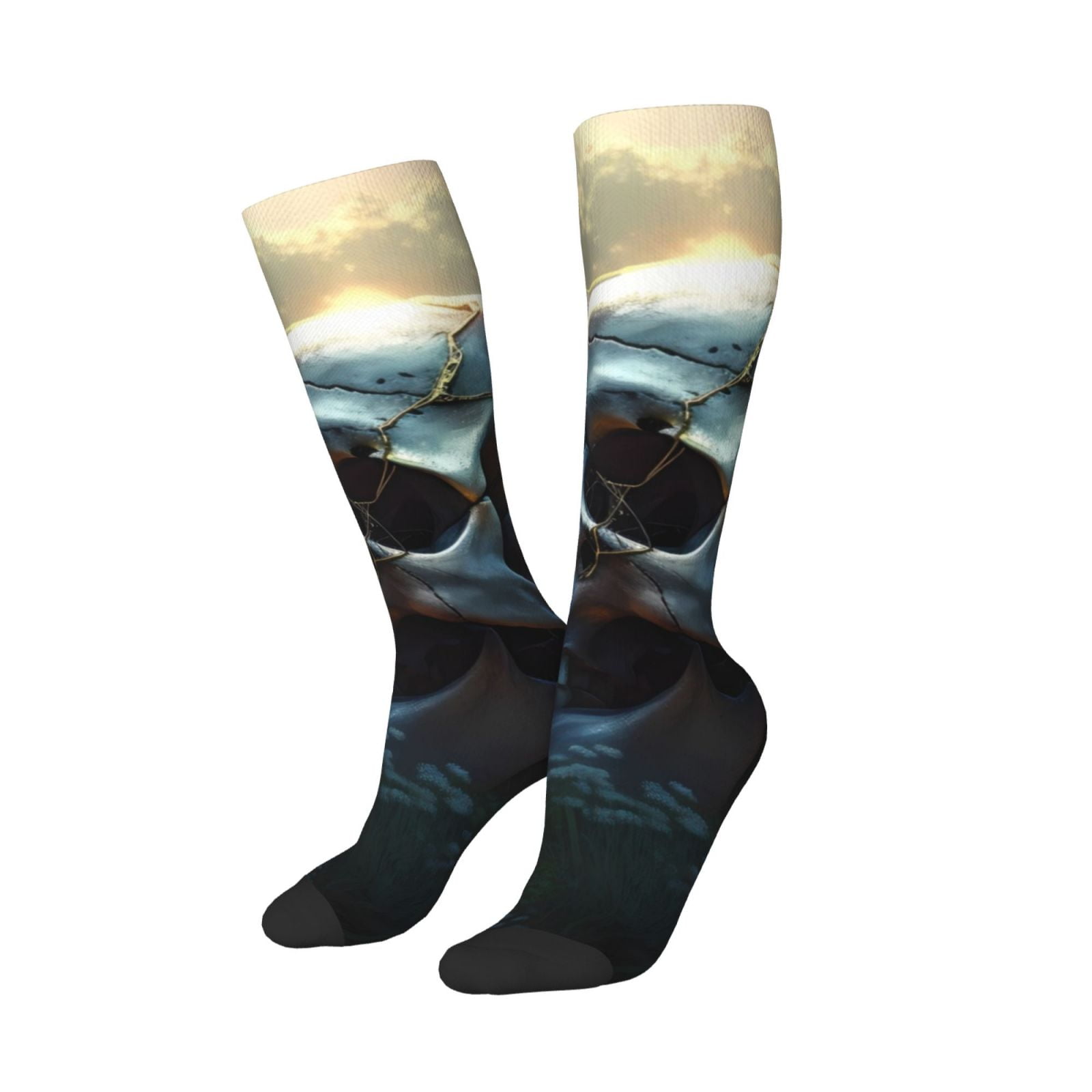 Balery Flower Field Skull Printed Novelty Socks Men's Women's Crew