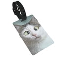 thumbnail image 1 of Balery Funny Cat Print Durable Luggage Tags with Secure Strap, Personalized Travel ID Tags for Suitcases, Bags, and Backpacks - Easy Identification for Men and Women, 1 of 8