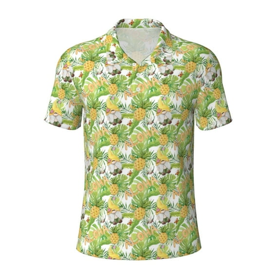 Balery Gnome and Pineapple Printed Men’s Short Sleeve Polo Shirt, Midweight Men's Shirt,Golf Polo shirts -Large
