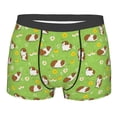 thumbnail image 1 of Balery Guinea Pigs Men's Boxer Briefs, Soft and Breathable Cotton Underwear with nylon Waistband-Medium, 1 of 9