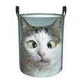 thumbnail image 1 of Balery Funny Cat Round Laundry Basket with Handles Waterproof Freestanding Laundry Hamper for Clothes Toys in the Dorm and Family-Medium, 1 of 8