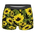 thumbnail image 1 of Balery Men'S Design Name Ultra Soft Performance Boxer Briefs-Size Name, 1 of 9