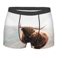 thumbnail image 1 of Balery Men'S Design Name Ultra Soft Performance Boxer Briefs-Size Name, 1 of 9